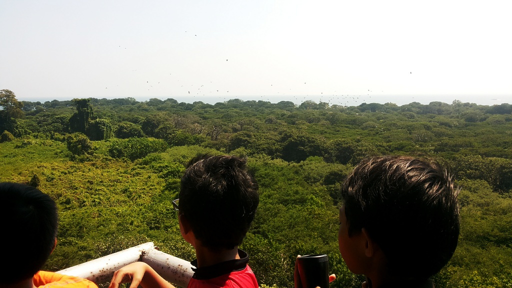 Weekend seru di Pulau Rambut,  Berinteraksi dengan Alam