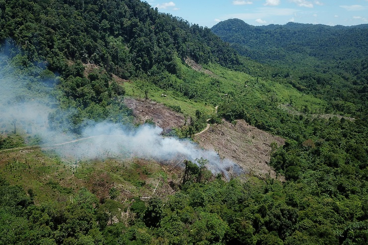 Deforestasi di Batu Mengakibatkan Banjir dan Longsor