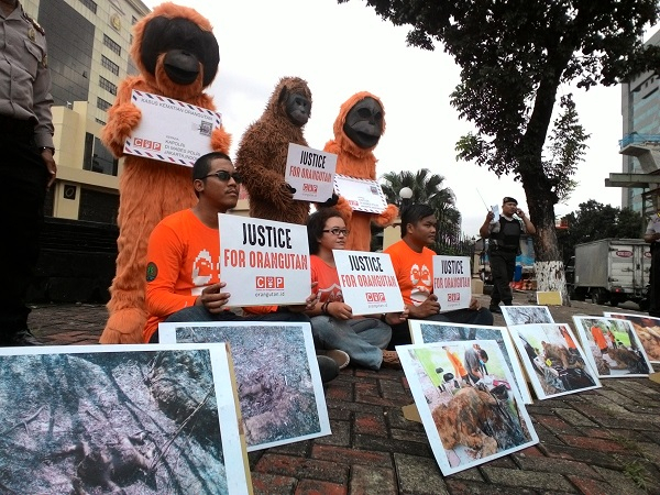 Kepolisian Didesak Tindak Tegas Pembakar Tiga Orangutan di Kaltim