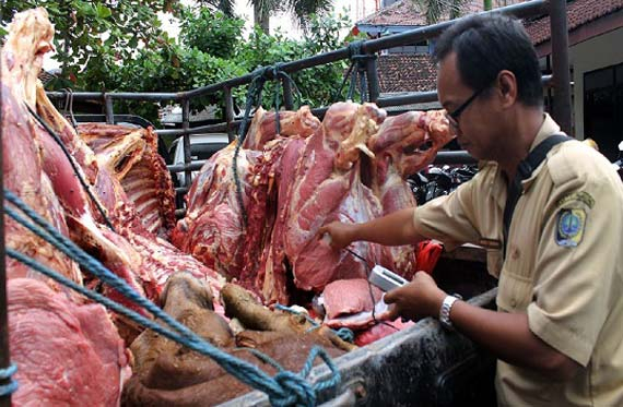 Polisi Tulungagung Sita 2,8 Ton Daging Sapi Gelonggongan