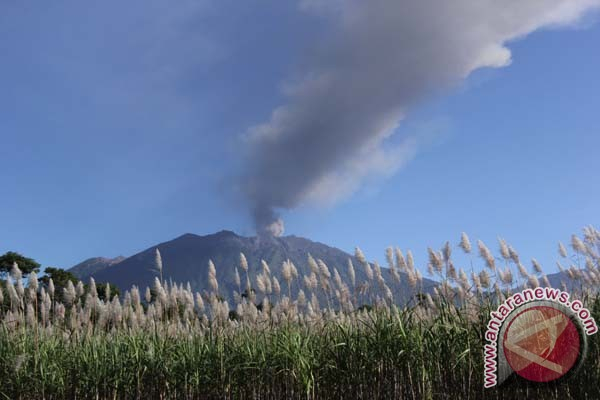 Terpapar Abu Vulkanik Gunung Raung, Bandara Blimbingsari Masih Ditutup