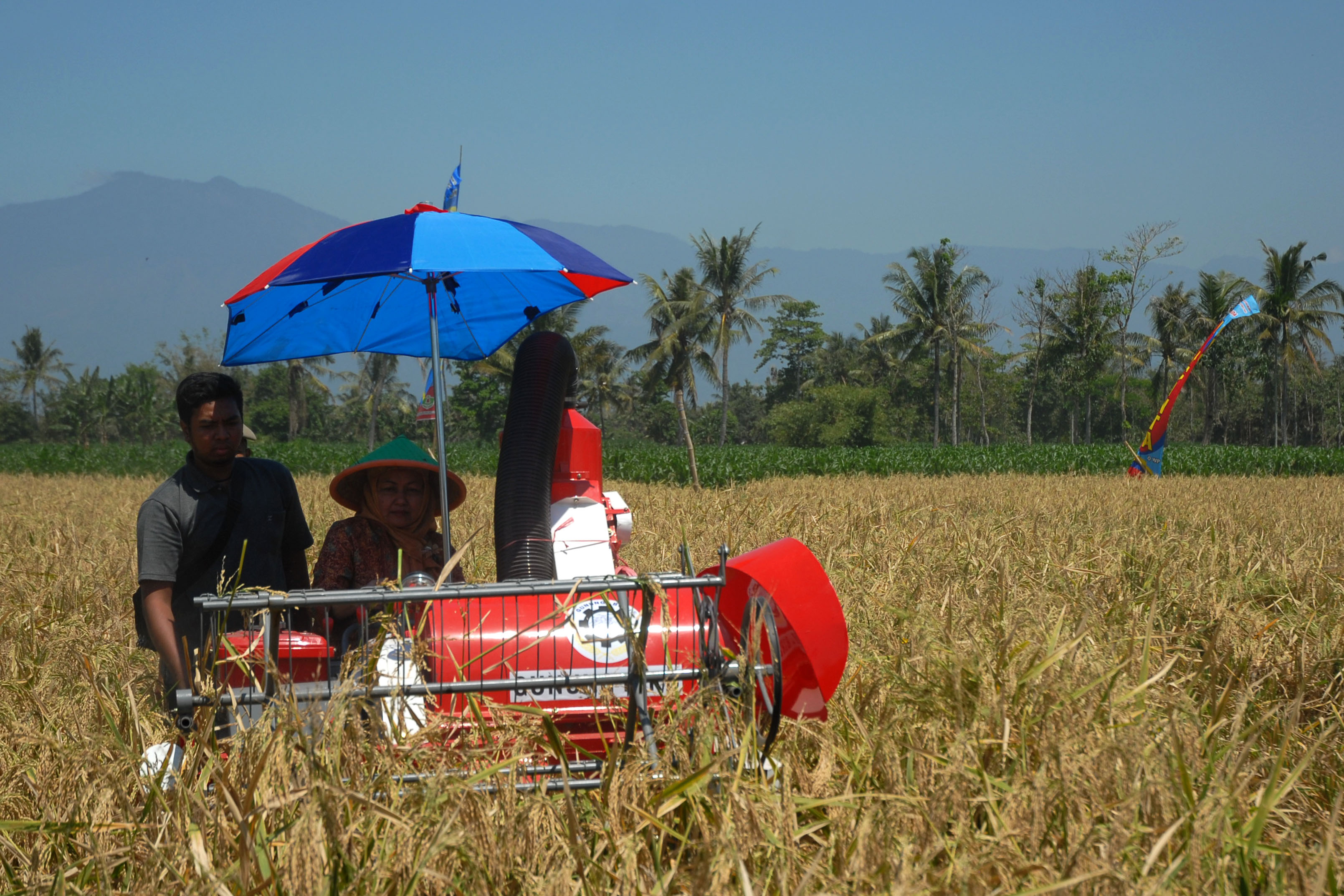 Petani Bondowoso Kembangkan Desa Industri Mandiri