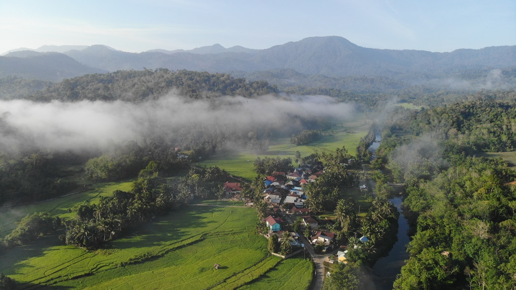 Berkah Karbon Komunitas Penjaga Hutan Bujang Raba