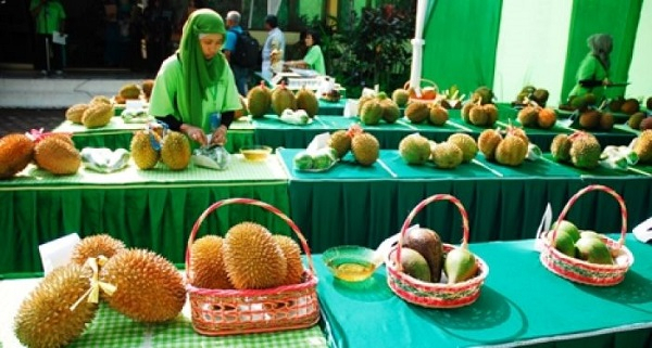 Dinas Pertanian Buka Puluhan Sekolah Lapang Khusus Buah