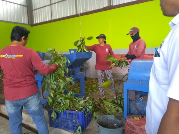 Jalan Terjal Desa di Bali Kelola Sampah Berbasis Sumber