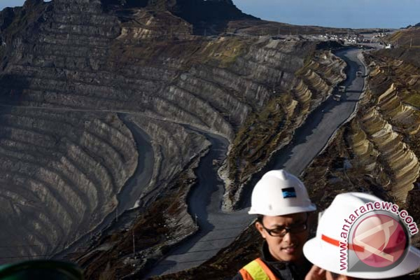 Freeport Bisa Seret Pemerintah ke ICSID, Jika IUPK Dicabut