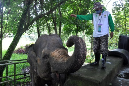 Kebun Binatang Indonesia 