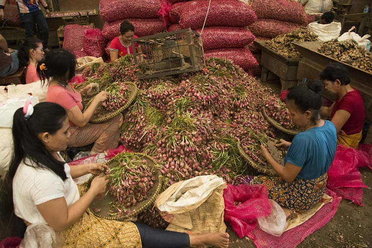 Kementan: Harga Tinggi Sayur Bukan Karena Stok Terbatas