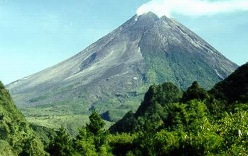 Dalam 4 Hari, Kebakaran Lima Hutan Gunung Seluas 300 Hektar Belum Tertangani