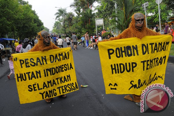 KLHK Akan Registrasi Tiap Donor Program Lingkungan Hidup Di Daerah