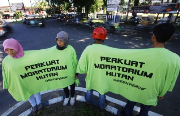 Mafia Tanah di Balikpapan Sasar Hutan Lindung
