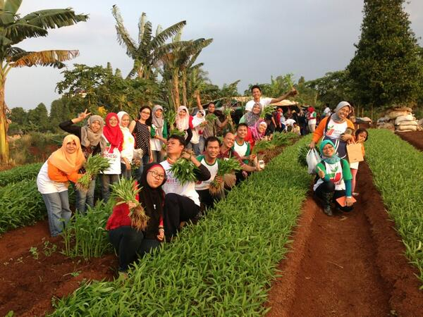 Berkebun, Cara Ampuh Kurangi Stres 