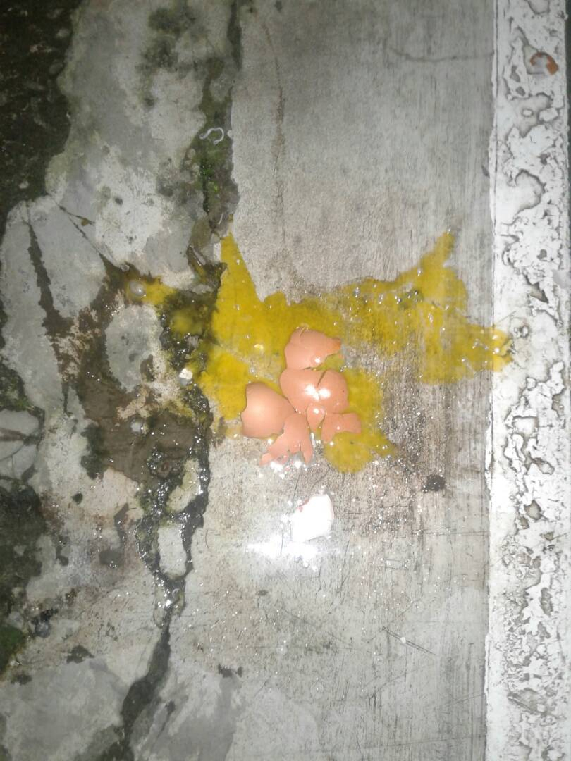 Masjid Ahmadiyah Depok Dilempari Telur dan Cat Oleh Orang Tak Dikenal
