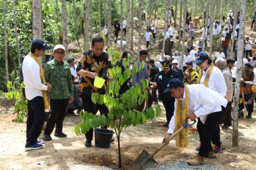 Presiden Jokowi dan Rektor UGM Canangkan Hutan Wanagama di IKN