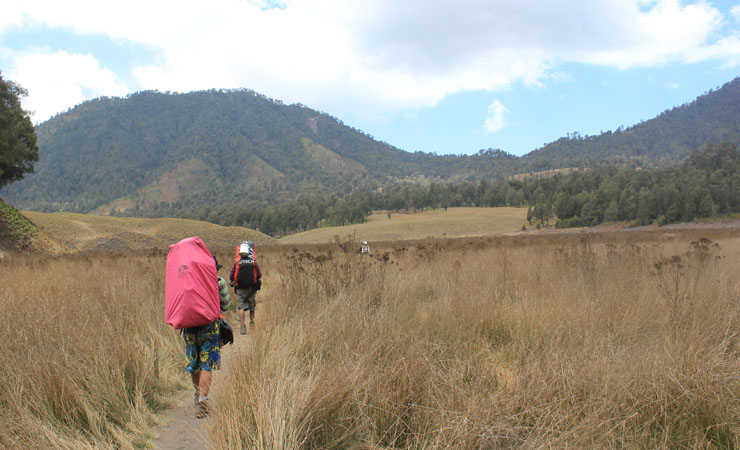 Akibat Kebakaran, Jalur Pendakian Gunung Semeru Ditutup