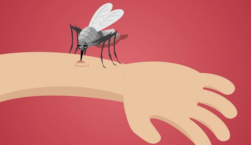 Malaria di RI Masih Tinggi, Menkes: Kita Butuh Vaksin