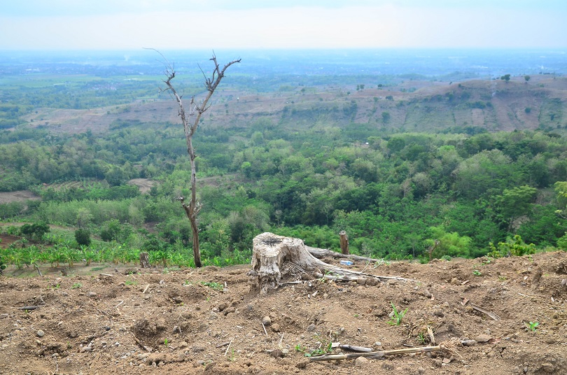 AMAN Respons Menteri LHK: Pembukaan Jalan di Kawasan Hutan untuk Investor, Bukan Rakyat
