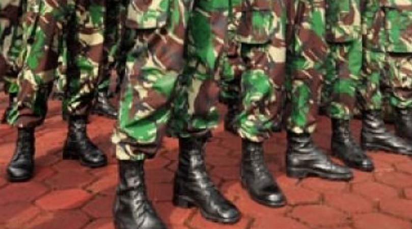 Walhi: Militerisasi di Kawasan Hutan Jadi Ancaman Bagi Masyarakat