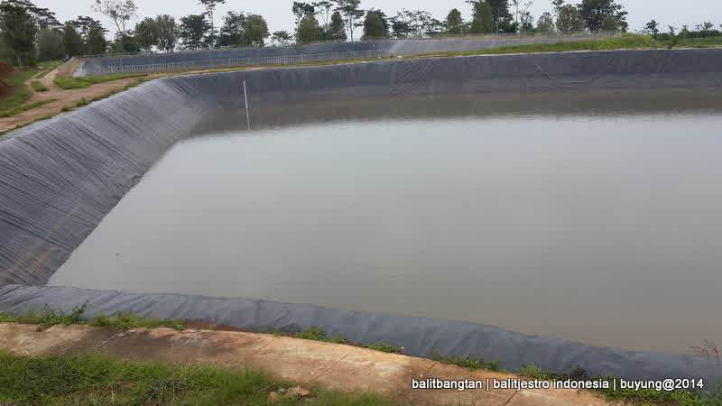 Setelah Bangun Seribu Embung Irigasi, Banyuwangi Siapkan Lahan Abadi Pertanian