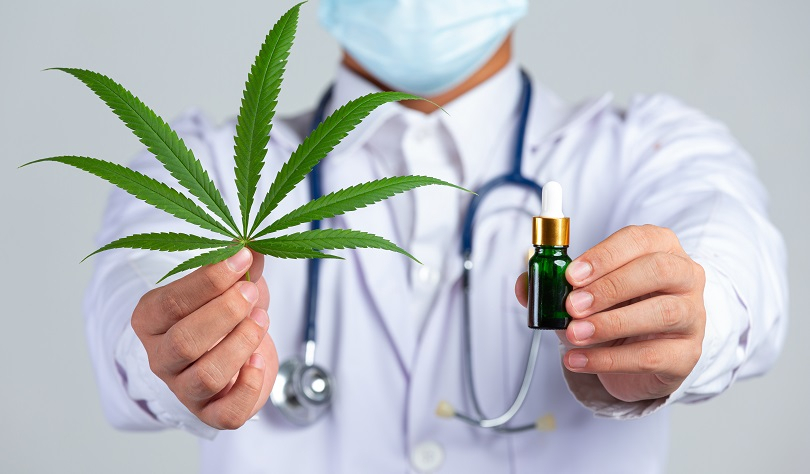 Permohonan Legalisasi Ganja Medis Terkendala Riset?