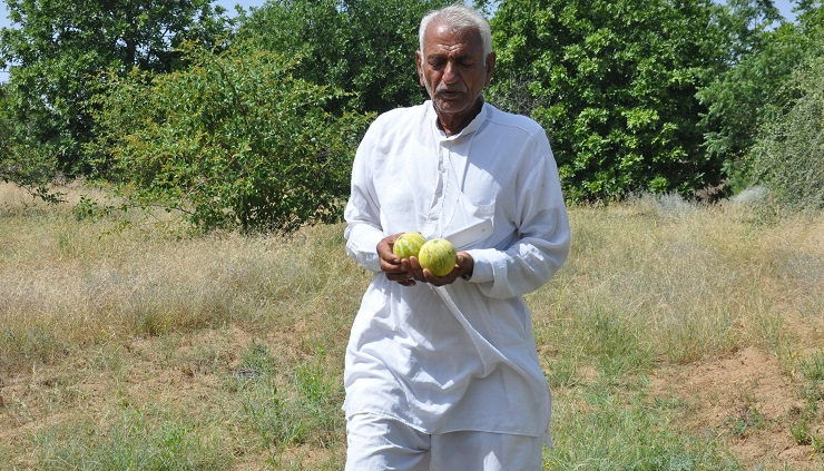 Indian farmer develops fruit farm in Indian desert 