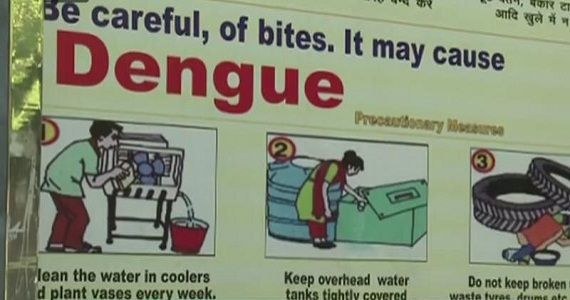 India Struggles with the Worst Outbreak of Dengue Fever