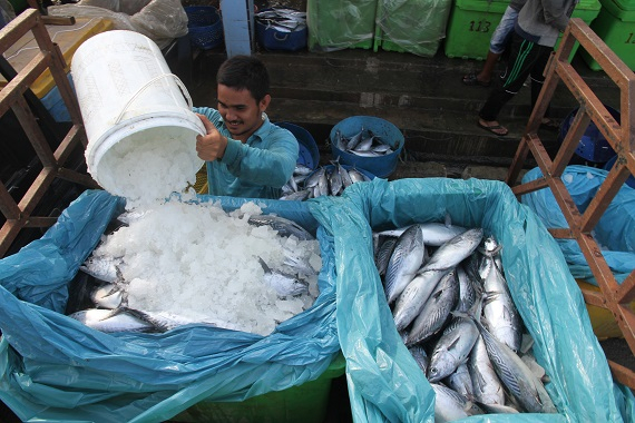 Indonesia Ingin Akses Lebih Baik ke Pasar Produk Laut Eropa 