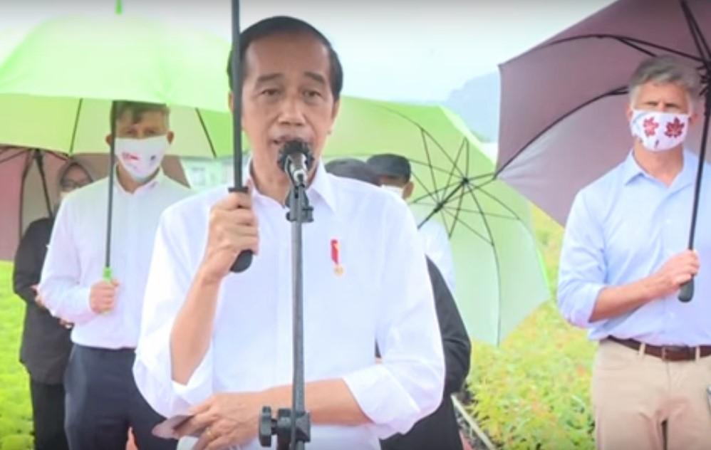 Bersama Sejumlah Dubes, Jokowi Tinjau Persemaian Modern Rumpin, Bogor