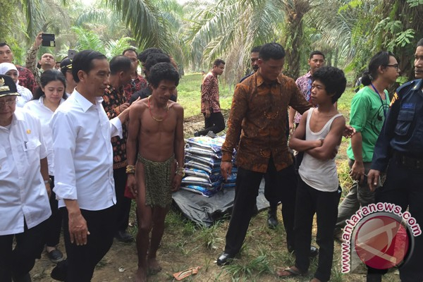 Hampir Setahun, Lahan untuk Suku Anak Dalam Masih Sebatas Janji