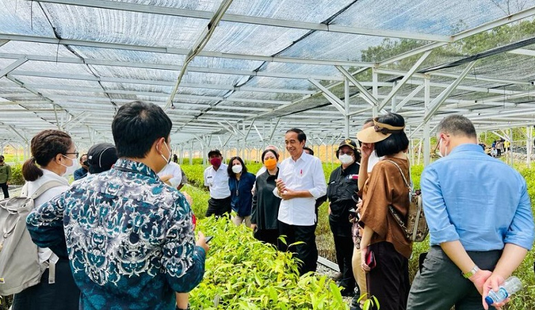 Bangun Persemaian di IKN, Jokowi: Bukti Serius Tata Lingkungan