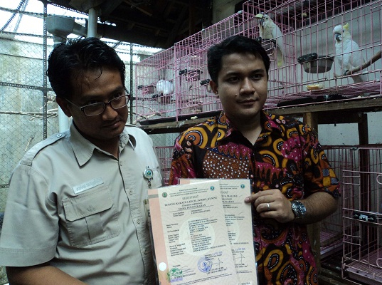 Melihat Dari Dekat Penangkaran Resmi Burung Langka di Solo