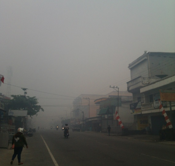BKSDA Kalteng SKW II Lakukan Pemadaman Besar-besaran 