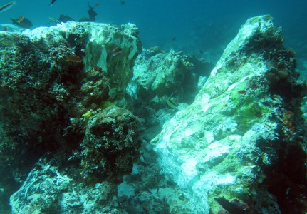 Kapal Pesiar Rusak Karang Raja Ampat, Kemenlu Siap Bantu KKP