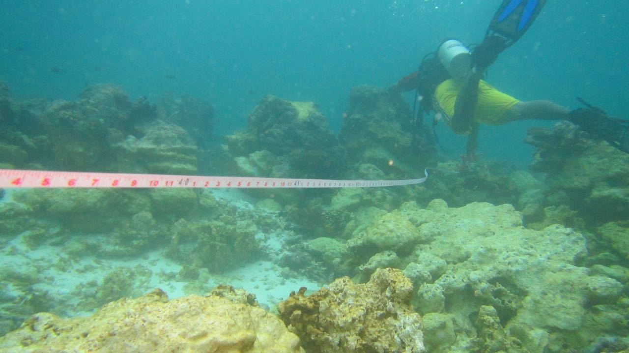 Kapal  Inggris Rusak Karang Raja Ampat,  Pemerintah Siapkan  Pidana dan Ganti Rugi 