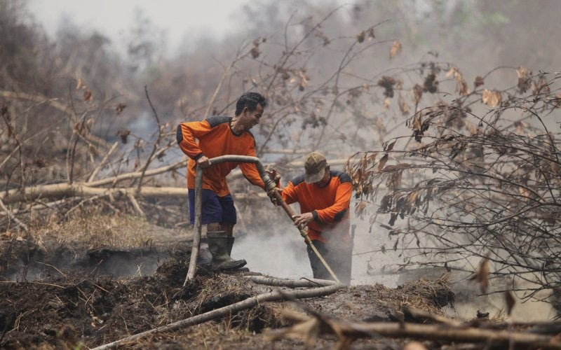 Karhutla di DIY Banyak Disebabkan Pembakaran Sampah
