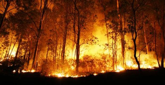Walhi: Proses Penegakan Hukum Bagi Korporasi Harus Dipercepat