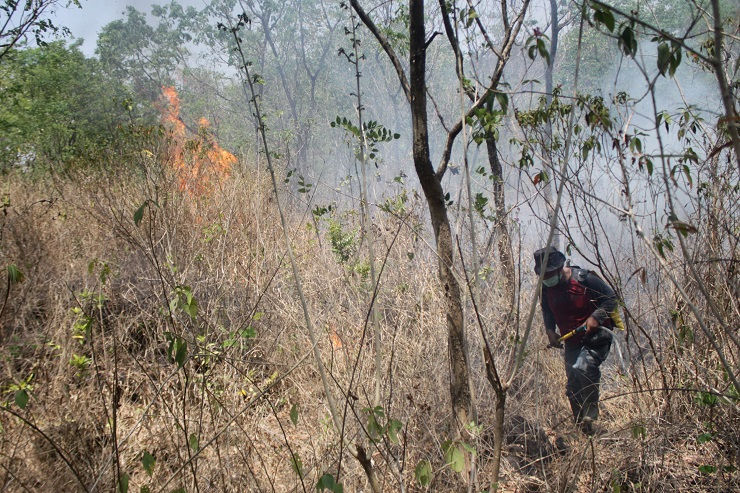 Ini Sebab Kebakaran Hutan di Gunung Ciremai Sulit Dipadamkan