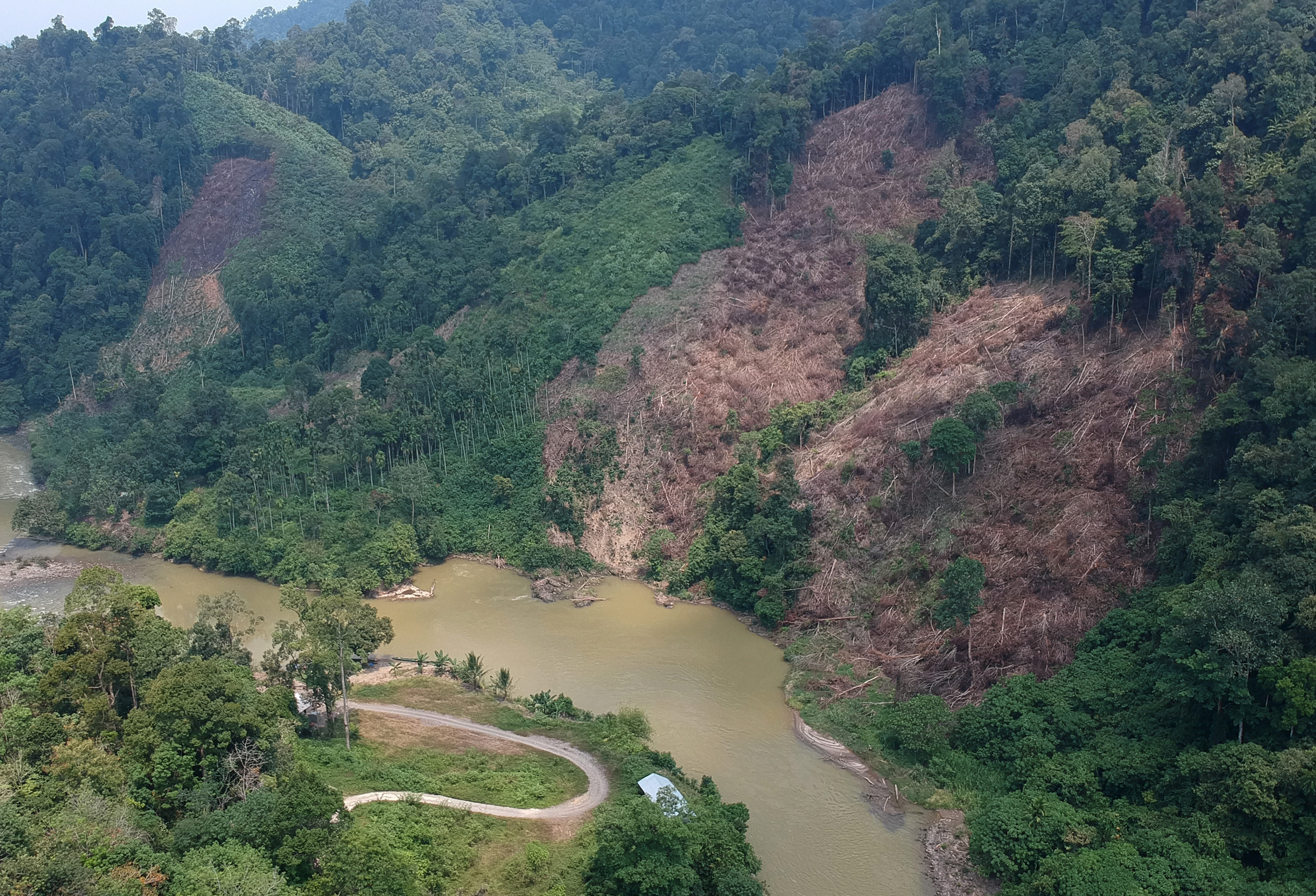 78 Persen Hutan di NTB Rusak Parah