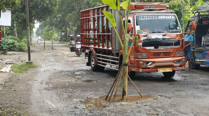 Jalan Rusak Bertahun-tahun, Warga Trenggalek Tanam Pohon Pisang Sebagai Bentuk Protes