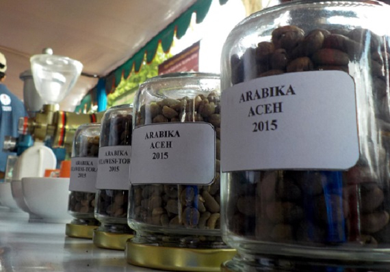Pemkab Bondowoso Kembangkan Kluster Kopi Tahap 2