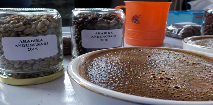 Pasca Deklarasi Republik Kopi, Bondowoso Diserbu Buyer