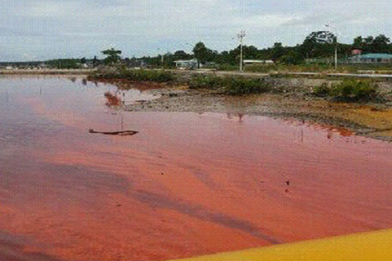 Tangki Penampungan Bocor, Ratusan Ton CPO Cemari Sungai Kumai
