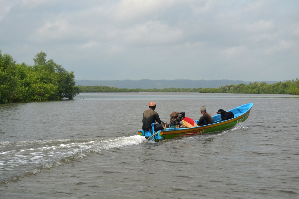 Selamatkan Mangrove Cilacap, Sodetan Citanduy Kembali Digagas