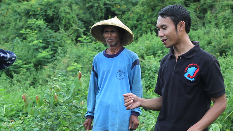 Rupanya pemilik lahan banyak yang menebang gaharu karena dianggap sebagai hama.