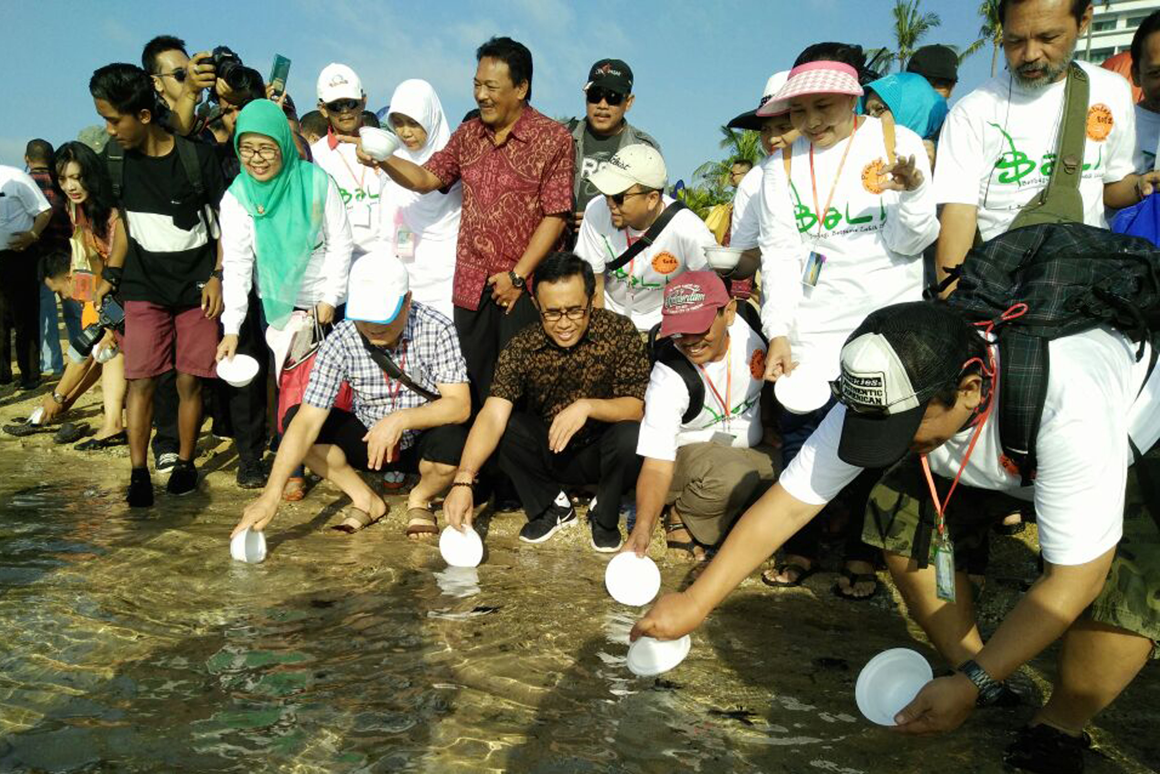 Ratusan Penyu Diselamatkan Sepanjang 2016