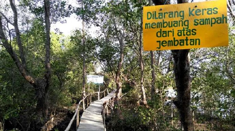 Deforestasi Mangrove Akan Tetap Terjadi