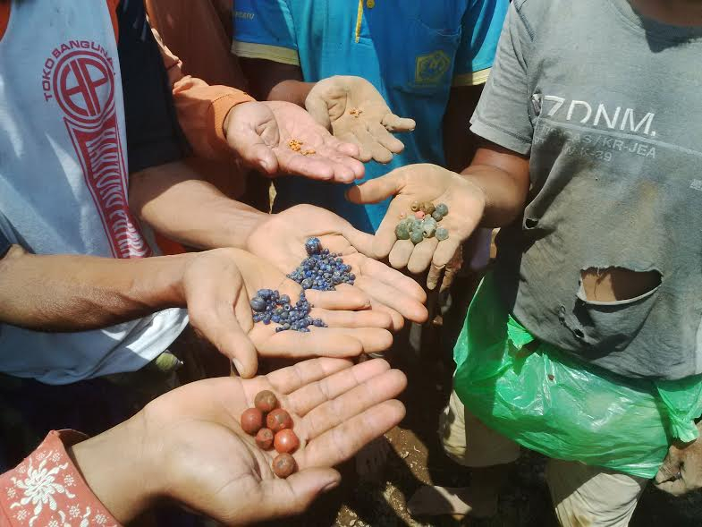 Warga  Banyuwangi Berburu Harta Karun 