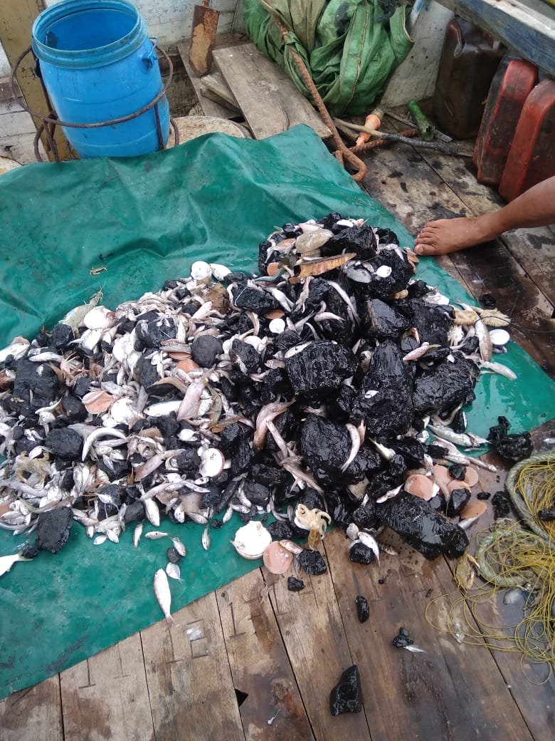 DKP Jateng Imbau Nelayan Tak Melaut di Sekitar PLTU
