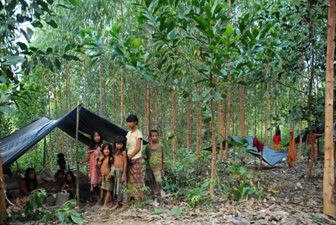 Orang Rimba di Jambi Terpaksa Ubah Arah Melangun