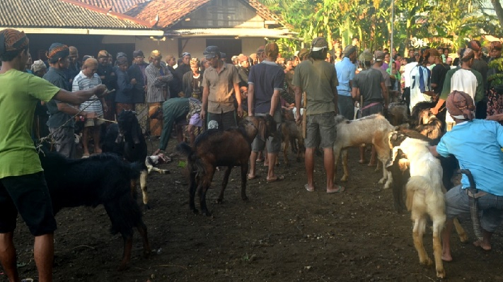 Kejawen Banyumas Rayakan Idul Adha pada Rabu dan Kamis Besok